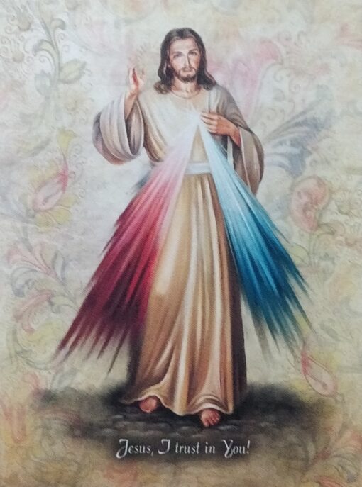 2964G01 TELA DIVINE MERCY 30X40CM