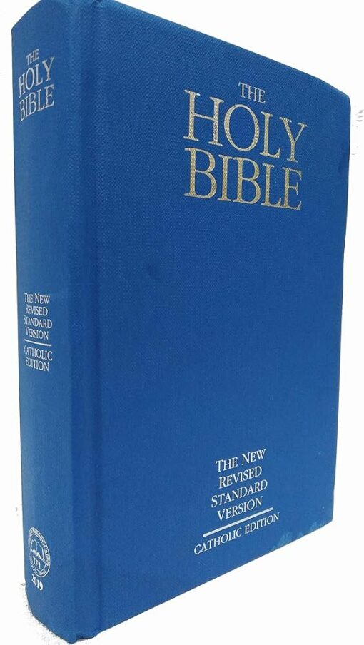 THE HOLY BIBLE THE NEW REVIS STAND VERS